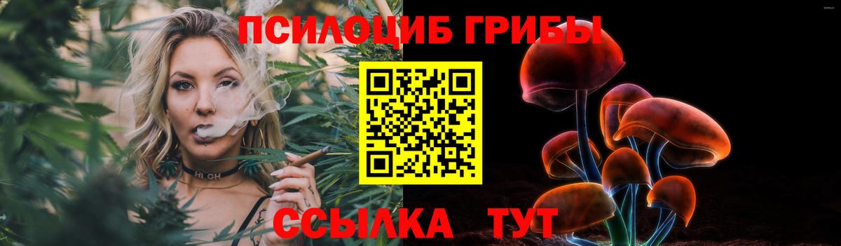 Псилоцибиновые грибы Psilocybine cubensis Верхняя Салда
